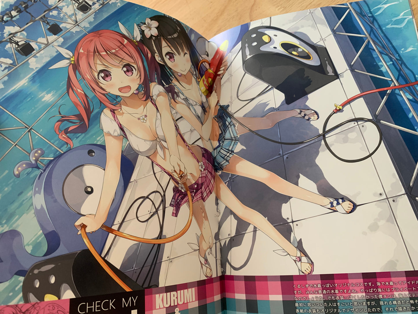 Doujin / Doujinshi - Kantoku - Check My Idol