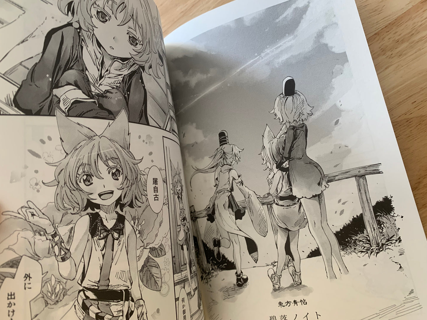 Doujin / Doujinshi - Touhou Project Blue Book Touhou Seichou #64 - Ao Yohane